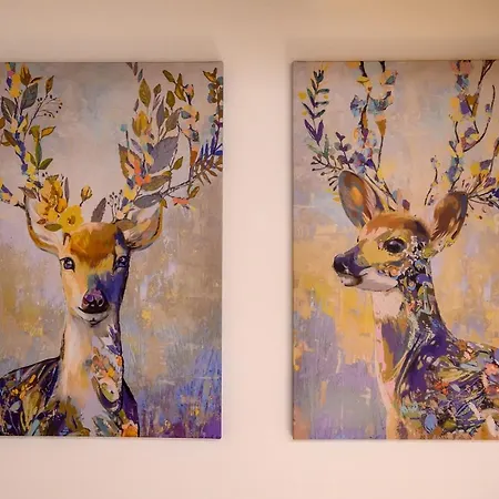 Daire Old Town Tirano